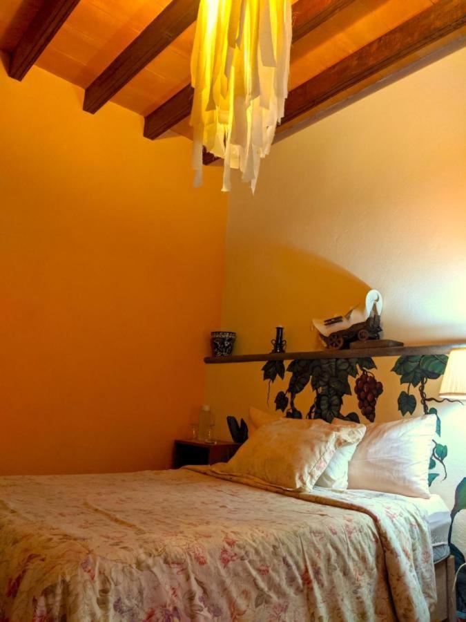 Pozzito Boutique Bed & Breakfast San Miguel de Allende Dış mekan fotoğraf