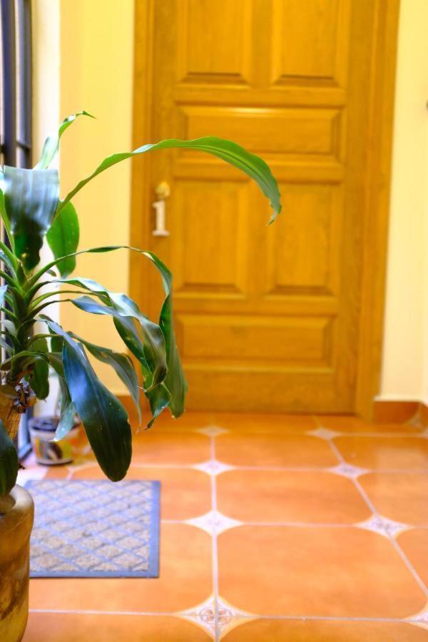 Pozzito Boutique Bed & Breakfast San Miguel de Allende Dış mekan fotoğraf