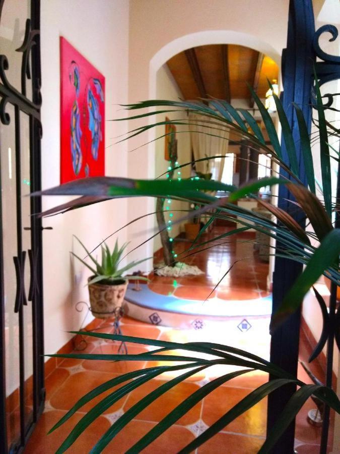 Pozzito Boutique Bed & Breakfast San Miguel de Allende Dış mekan fotoğraf
